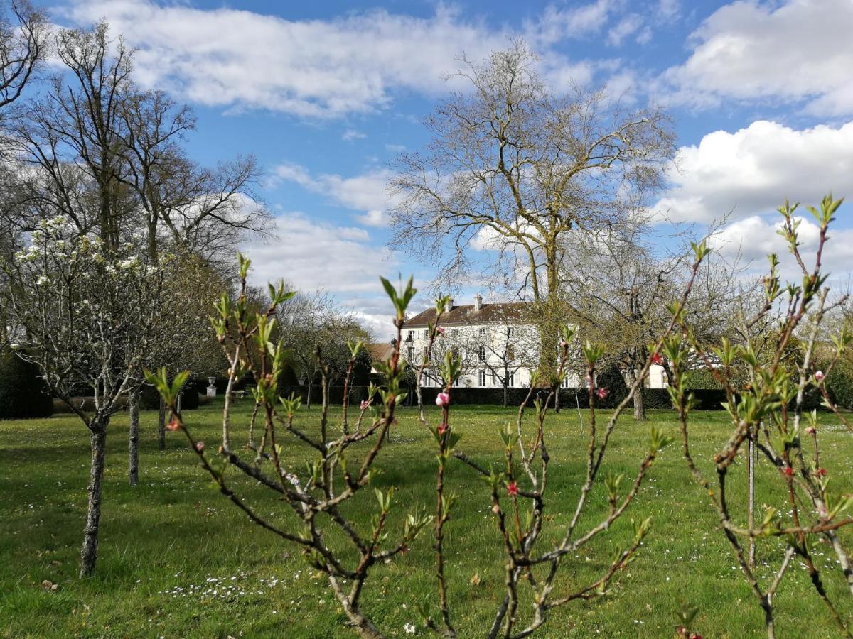 Chateau De Brinville Saint-Sauveur-sur-Ecole Zewnętrze zdjęcie