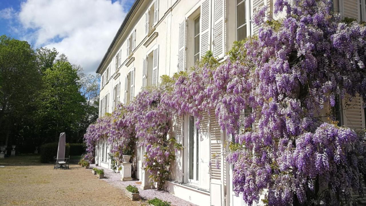 Chateau De Brinville Saint-Sauveur-sur-Ecole Zewnętrze zdjęcie
