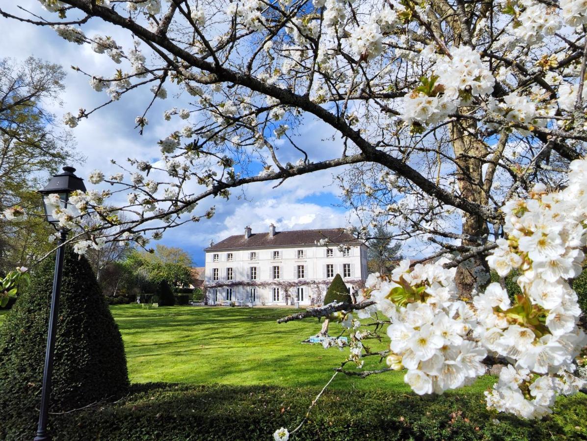 Chateau De Brinville Saint-Sauveur-sur-Ecole Zewnętrze zdjęcie